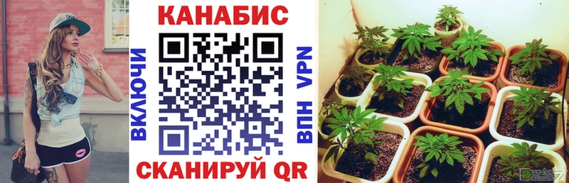 Каннабис Amnesia  Среднеколымск 